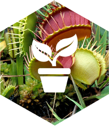 icons_produtos_05