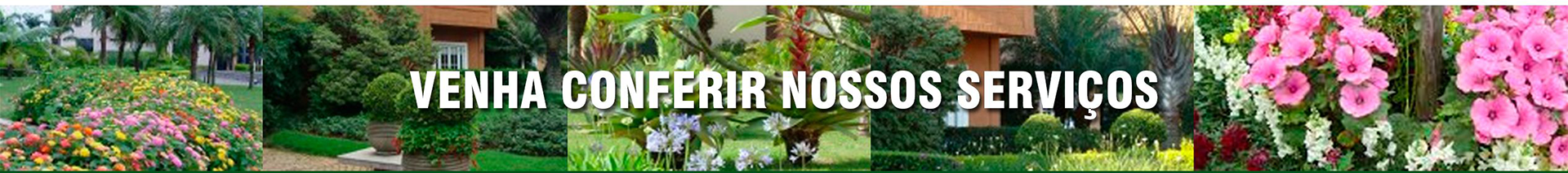 Venha conferir nossos serviços